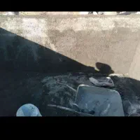 سیمانکاری کچکاری|خدمات پیشه و مهارت|اراک, |دیوار