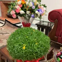 نظافتچی  اشپزی