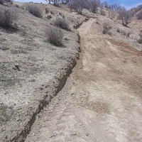 بیل جلو تراکتور اجاره ی آگهی برای کار میباشد|خودرو سنگین|تهران, نعمتآباد|دیوار