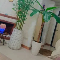 درخت بامبو مصنوعی|گل مصنوعی|رشت, گلسار|دیوار