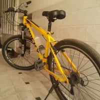 دوچرخه ۲۶|دوچرخه، اسکیت، اسکوتر|قم, چهل درخت‎|دیوار