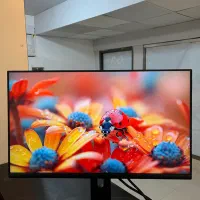 مانیتور Dell P2422He پنل IPS تایپ سی خور|قطعات و لوازم جانبی رایانه|قم, انسجام|دیوار