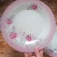 سرویس آرکوپال (مارک رویال اوپال همراه با جعبه)|ظروف سرو و پذیرایی|نور, |دیوار