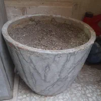 تعدادی گلدان|گل و گیاه طبیعی|اصفهان, فردوان|دیوار