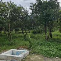 فروش زمین ۴۰۰۰ متری بنای قابل استفاده امتیازات کال|فروش زمین و ملک کلنگی|چابکسر, |دیوار