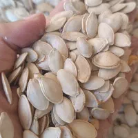 تخمه کدو بذری و آجیلی