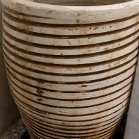 گلدان|گل و گیاه طبیعی|شاهین‌شهر, فردوسی|دیوار