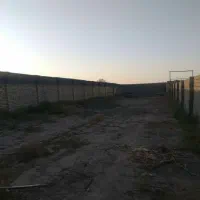 فروش زمین ۱۰۰ متری در جاده قمصر دشت صفی آباد|فروش زمین و ملک کلنگی|کاشان, صفی آباد|دیوار