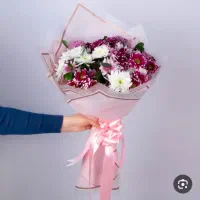 پخش عمده داوودی و رز هلندی و آلستر|گل و گیاه طبیعی|مشهد, نیروی هوایی|دیوار