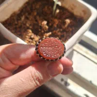 انگشتر|زیورآلات و اکسسوری|تهران, راه آهن|دیوار