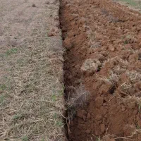 زمین دیم اجاره ای ۵۰۰ هکتار در بهتر اب و هوای قوچا