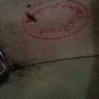 دف درجه یک محمد رضا عرفانی|سازهای سنتی|چالوس, |دیوار