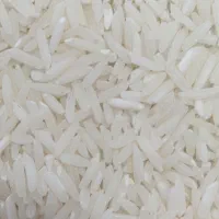 برنج محلی طارم دشت دیره