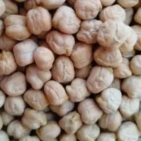 نخود درشت بهاره