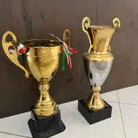 کاپ قهرمانی