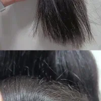 موخوره گیری فقط 280