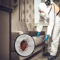 سم پاشی منزل شرکت و محل کار