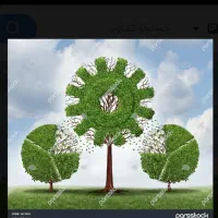 درخواست سرمایه گذاری