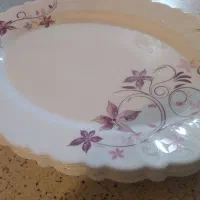 ظرف غذاخوری