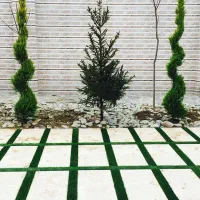 شرکت مهندسی فضای سبز لتکا|خدمات باغبانی و درختکاری|تهران, شهرک آزادی|دیوار