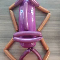 سوسیس و کالباس خانگی