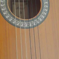 گیتار پارسی M5 سالم