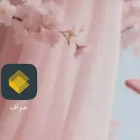 کارت هدیه و تخفیف