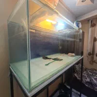 آکواریوم|لوازم جانبی حیوانات|تهران, شهرک صدرا|دیوار