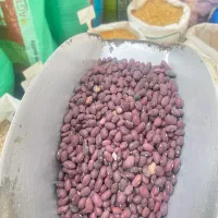 انواع حبوبات و برنج محلی ( چیتی ۳۲۰ فجر طارم ۲۱۰)|خوردنی و آشامیدنی|دهدشت, |دیوار