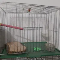 قفس بزرگ و کوچیک و لوازم جانبی|لوازم جانبی حیوانات|کرمانشاه, |دیوار