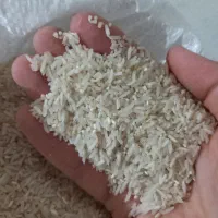 برنج سرلاشه وفجر موجود میباشد|خوردنی و آشامیدنی|گنبد کاووس, |دیوار