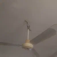 لوستر و پنکه سقفی|لوستر و چراغ آویز|زاهدان, |دیوار