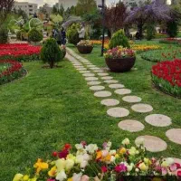 خدمات فضای سبز