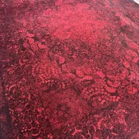 کاور زیبا|روفرشی|رشت, دیلمان|دیوار