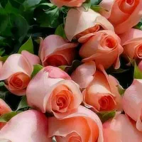 آقای رافعی وکیل پایه یک دادگستری