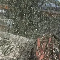 دانتل کارشده