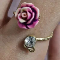 بدلیجات نسبتا نو