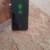 گوشی