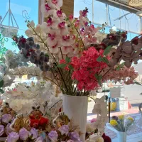 حراج گلهای گلدانی بزرگ