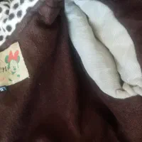 پالتو و کاپشن|لباس|ساوه, |دیوار