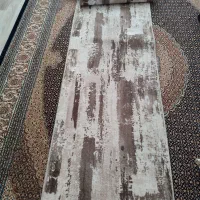 کناره ترکیه حدودا چهارونیم متر