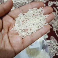 برنج فجرسوزنی ۹۰روزه|عمده‌فروشی|آزادشهر, |دیوار