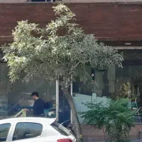 اجاره مغازه ۸۰ متری در کرمان|اجارهٔ مغازه و غرفه|تهران, کرمان|دیوار