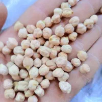 نخود سفید هشترود لب لبی هستش|عمده‌فروشی|نظر کهریزی, |دیوار