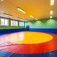 تاتامی/میله و پایه / کفپوش گرانولی / گرانول کفپوش|تجهیزات ورزشی|تهران, آذربایجان|دیوار