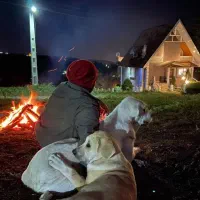 گوسفند گمشده