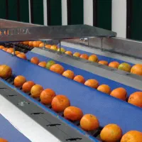 دستگاه نایلون پیچ مرکبات ۸لاین|ماشینآلات صنعتی|قائمشهر, |دیوار