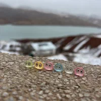 روداشبوردی میکروب شب تاب