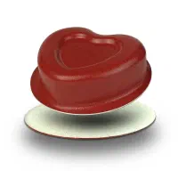 کته پز قلبی