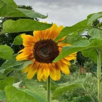 سفر یک روزه به چال ماهی بااتوبوس
